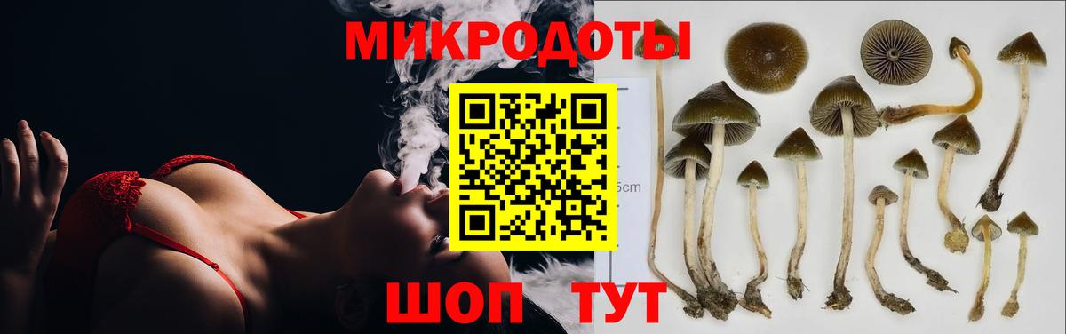 Псилоцибиновые грибы Psilocybe  Галлюциногенные грибы ЛСД  Гурьевск  Вход с VPN 